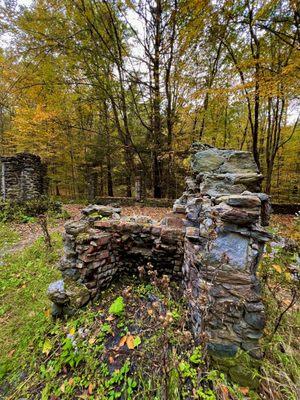 The castle ruins in the fall colors! (October 2023)