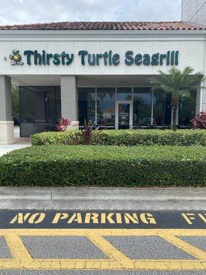 The front of thirsty turtle