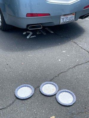 Plates of cat food to feed stray cats left in parking lot. Lots of ants came