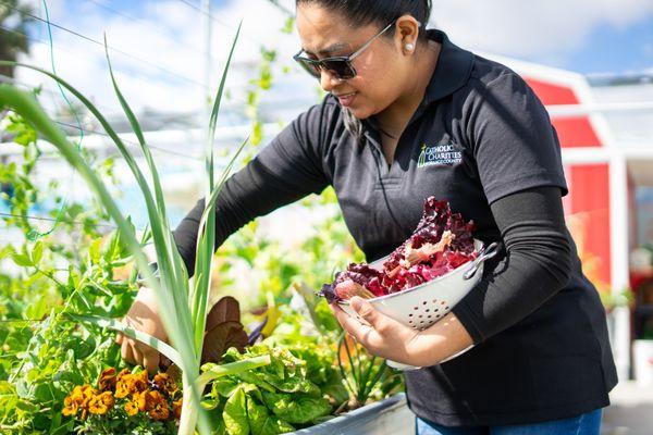 Health and Wellness at the Garden of Hope