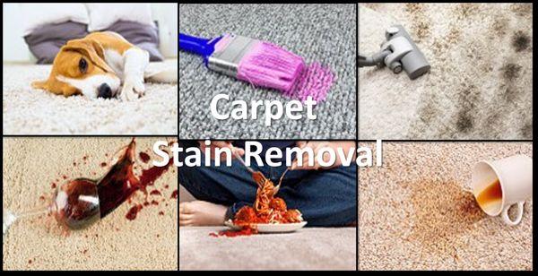 Carpet Stain Removal