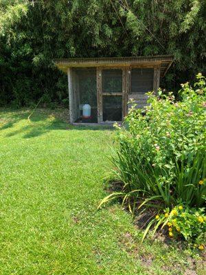 Lower school chicken coop