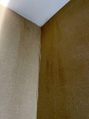 Stains in the wall paper and water damage