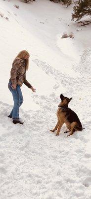 Susan T & 8 month old Bandit, who loves the ball.