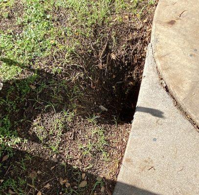 Giant hole on the property