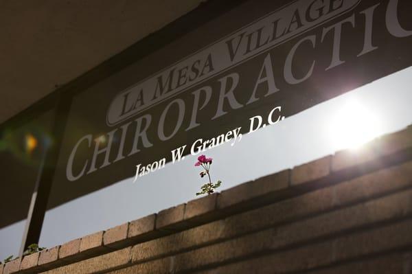 www.VillageChiropractic.com