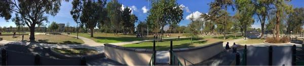 Panorama shot of the park