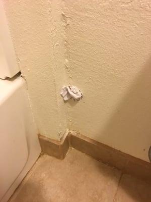 hole in bathroom plugged with TP. WORST HOTEL EVER!