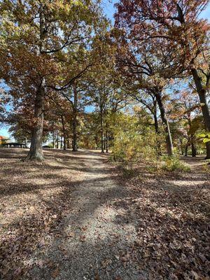 Winding gravel path