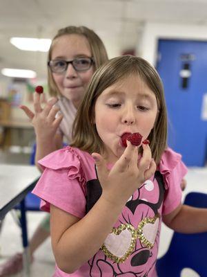 Nutrition program (CACFP)