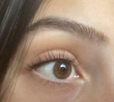 Lash lift and tint