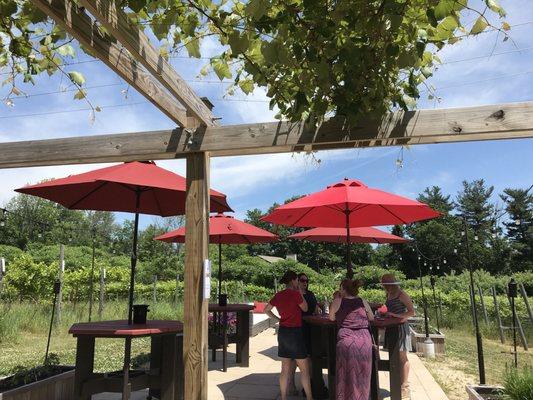 View of the patio from underneath the shade at the check in desk/payment counter