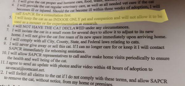 Contract rules for Indoor cat only (nothing about a harness/leash not allowed. It may have been spoken but I had forgotten)