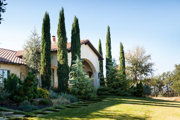 Italian cypress help create a great European style.