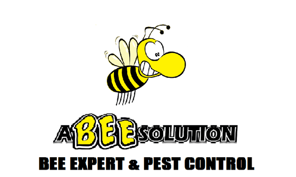 A Bee Solution