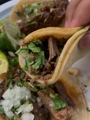 Barbacoa tacos