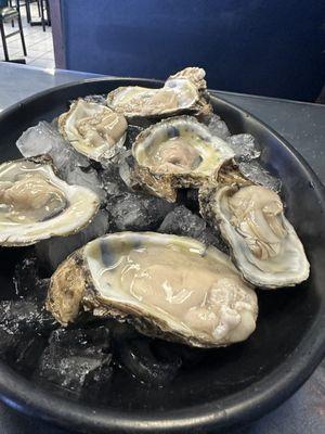 Oysters