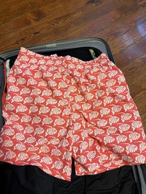 Boys swim trunks