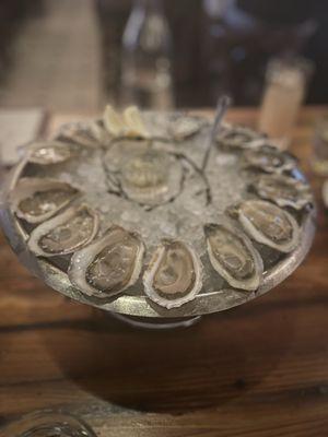 Oysters: Pickering Pass, Matheson Wavelength, Mant's Landing, and Island Creek