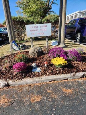 Gardens updated to entrances is inviting