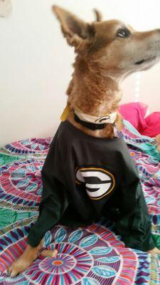 #2 Packer Fan cuz his mum is the #1 Green Bay Packers fan! The Greatest Team to ever play the game