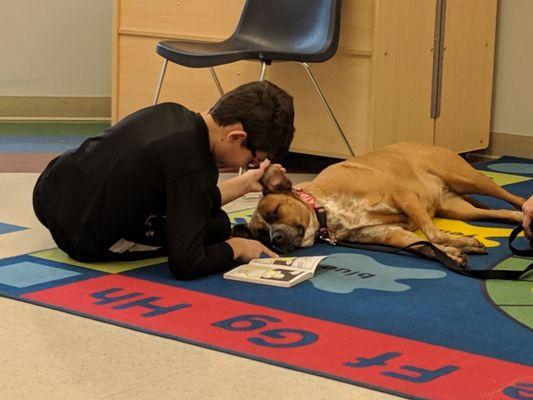 Reading to therapy dogs.