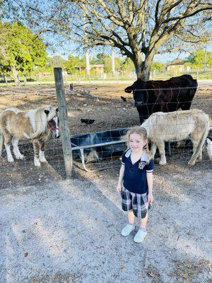 After school visit to the farm.