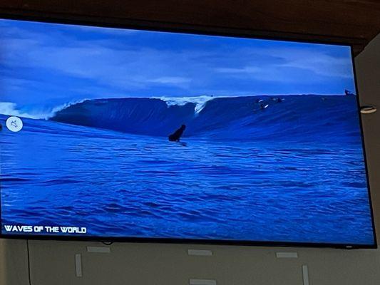 Waves of the World playing on the TV