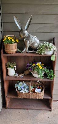 A Unique Rabbit Garden Lantern & Beautiful Plants in Vintage Containers