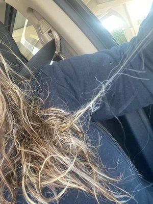 Hair falling out on the way home, still wet because I made them stop touching it.