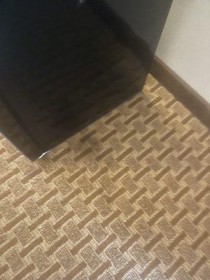 Stains all over the carpet in room.