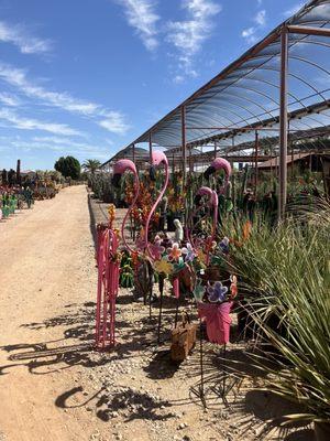 Desert Horizon Nursery