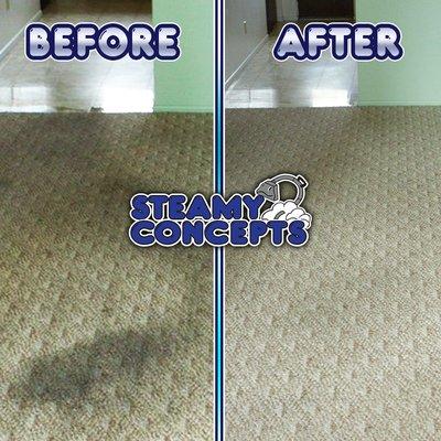 Dirty Carpet Professionally Cleaned Before and After