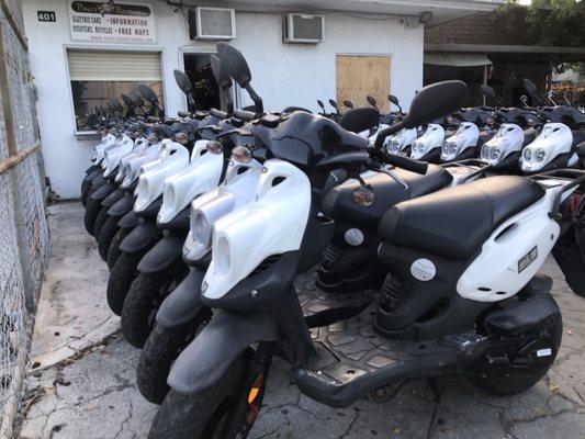 Pirate Scooter Rentals