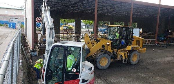 Mini Excavator Rental