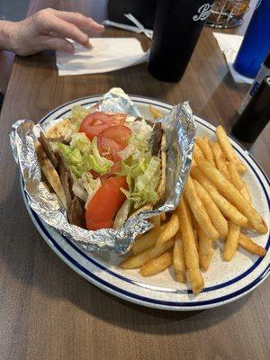 Gyro and fries