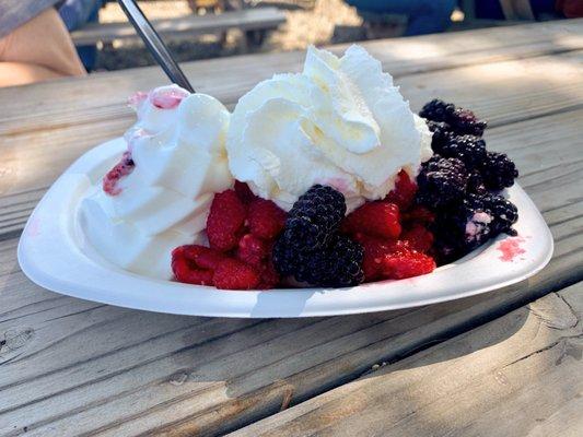 Raspberry & blackberry shortcake