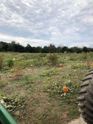 View from the tractor