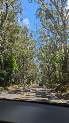 One of my fave places on Kauai