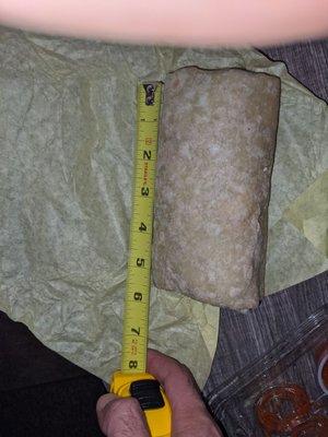 Carne asada burrito