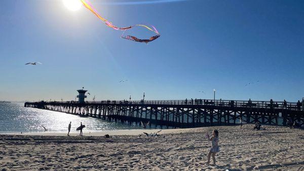 Beautiful and easy to fly kite