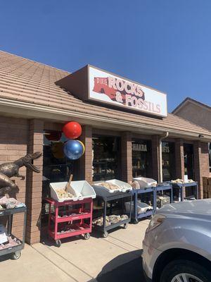 Dixie Rocks & Fossils - Geodes in bins for $2 - $6