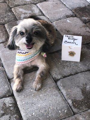 Princess and homemade treats