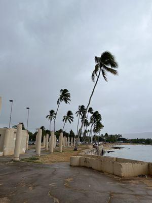 Beach walk