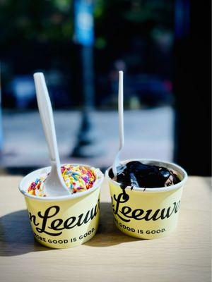 Van Leeuwen Ice Cream