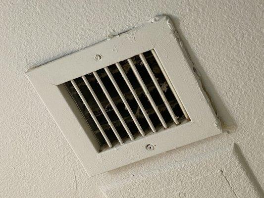 Dusty gross vent. There's no fan in the bathroom.