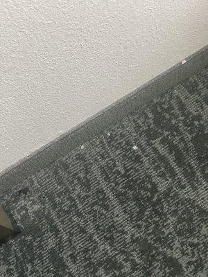 Dirty carpet