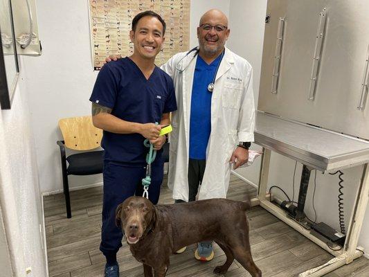 Izzy (Choco Lab) with Veterinarian Dr. Robert Rizon