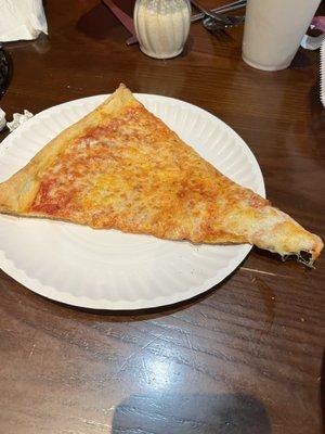 Kids pizza slice