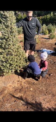 Kids cutting down the tree